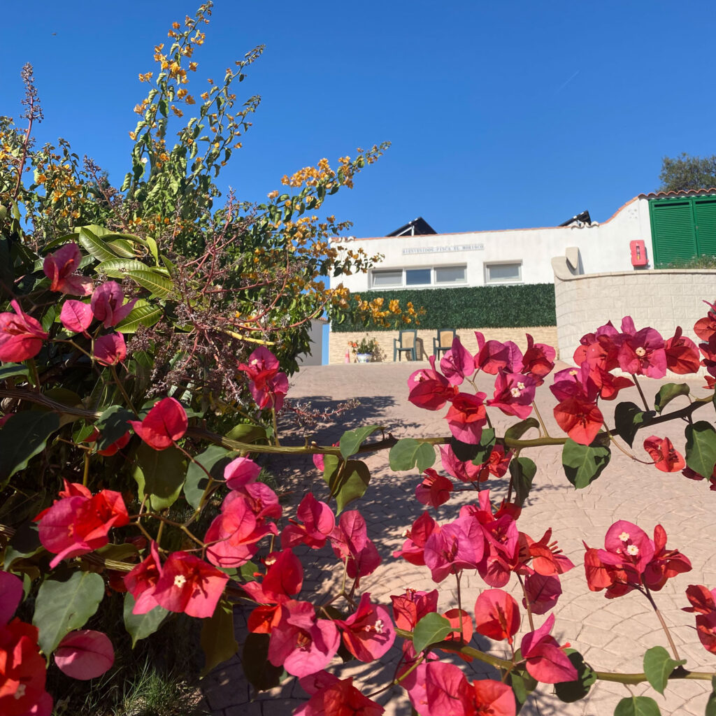 Yoga Retreat Andalousien Ilse Promnitz